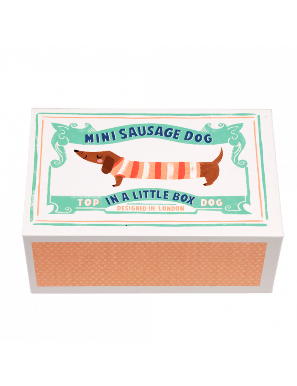Mini Sausage Dog In A Little Box