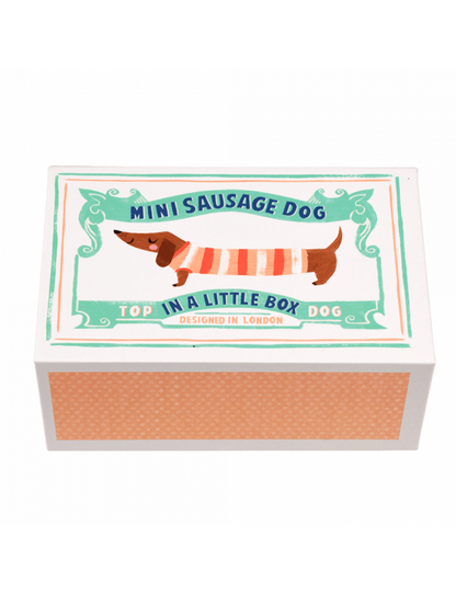 Mini Sausage Dog In A Little Box