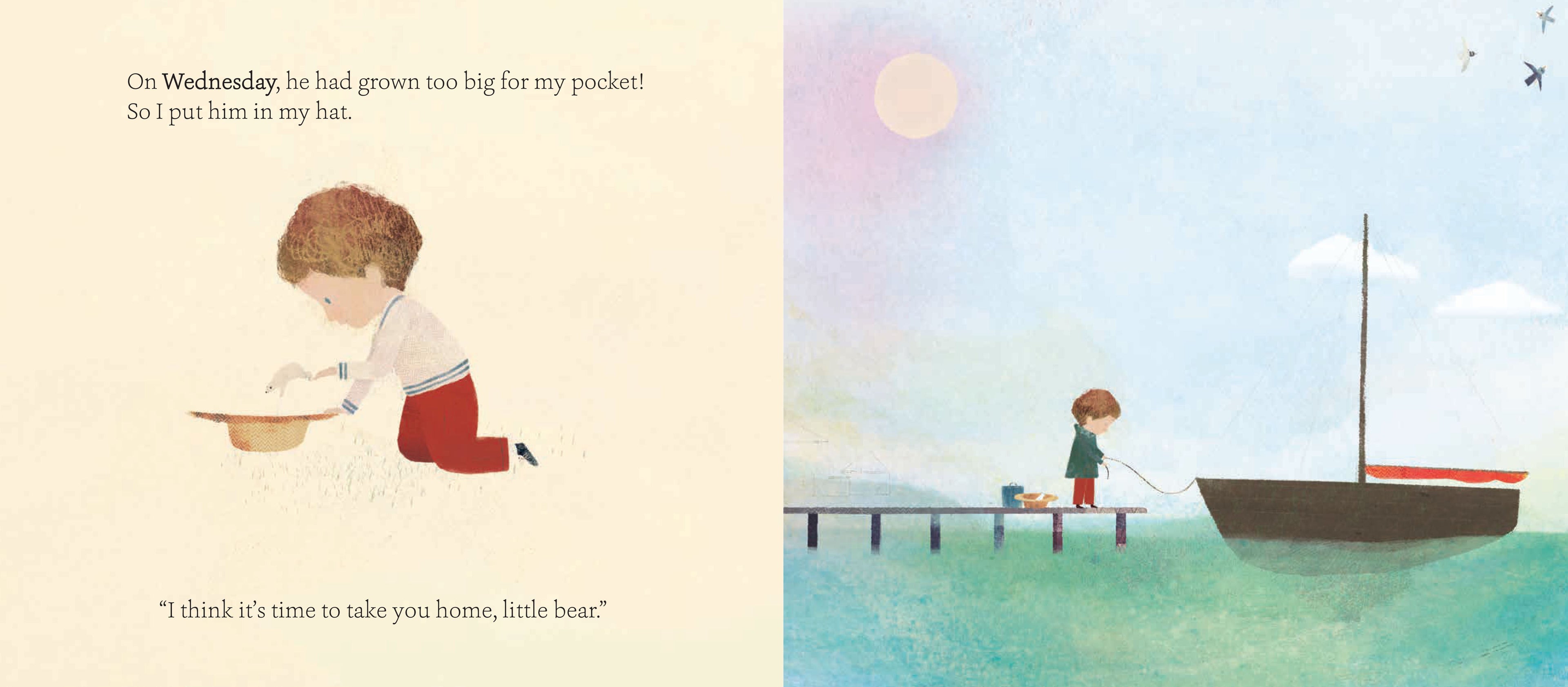 Little Bear (HB)